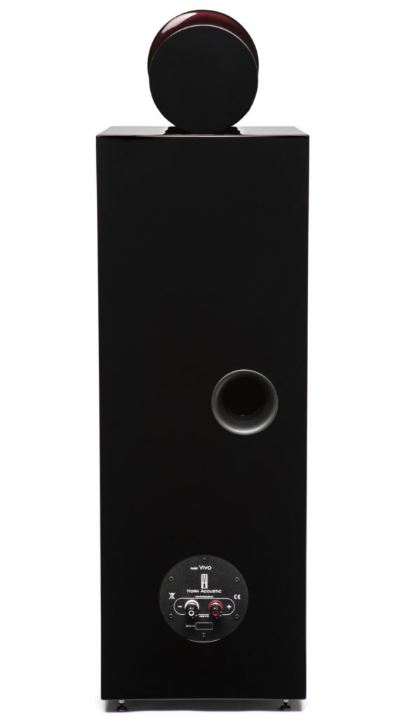 Horn Acoustic Vivo