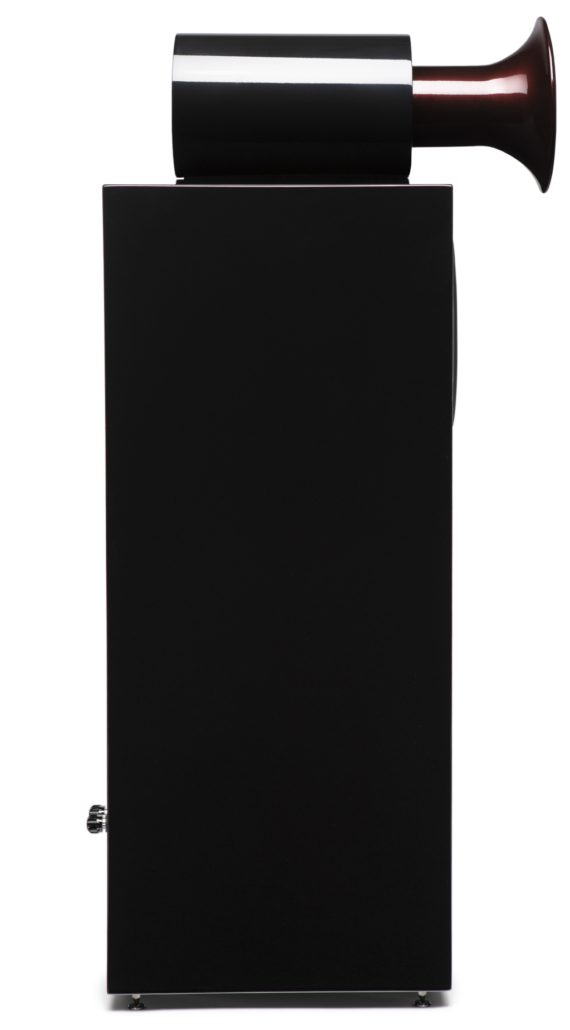 Horn Acoustic Vivo