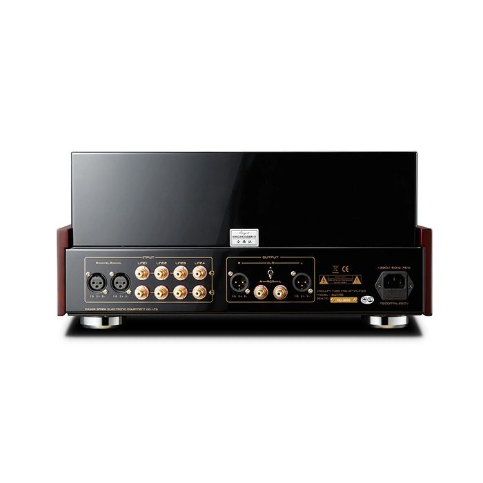 Cayin Soul 170 C