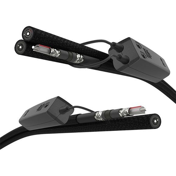 AudioQuest Dragon XLR