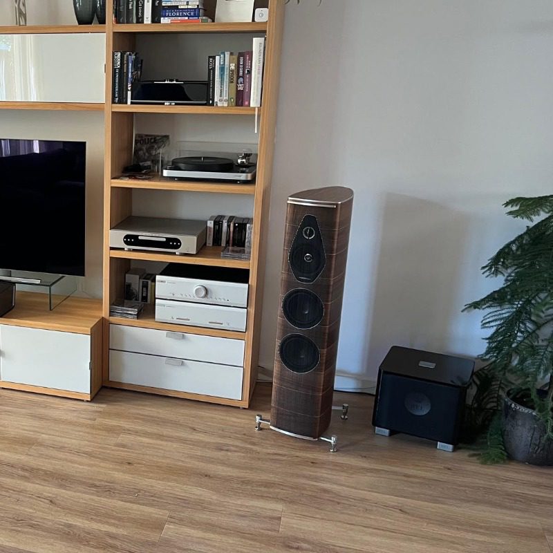 Den Haag is weer een Sonus faber set Olympica Nova III in Walnoot rijker!