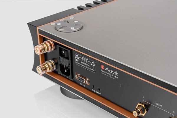 Aavik P-188 Power