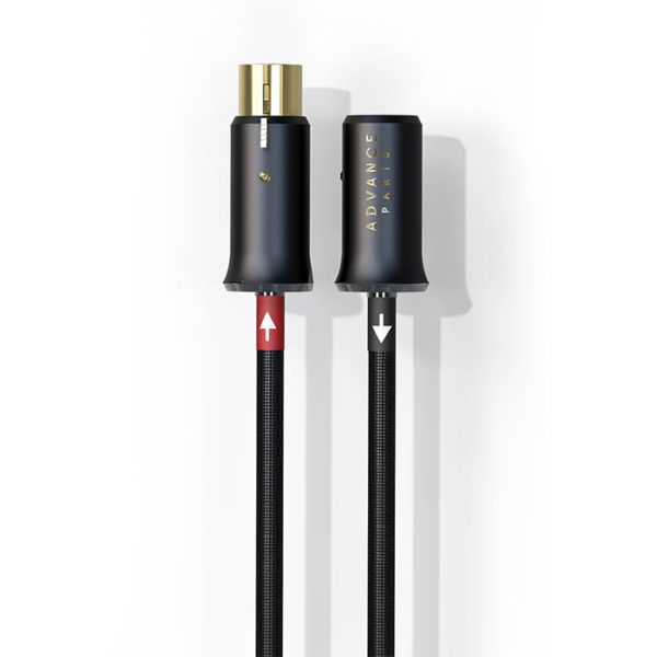 Advance LINK-Analoge 50 Ohm XLR interlink