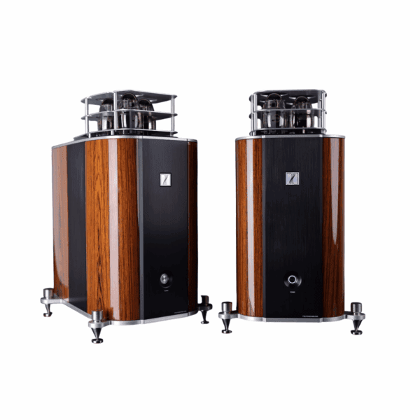 Fjord P150 Power Amplifier