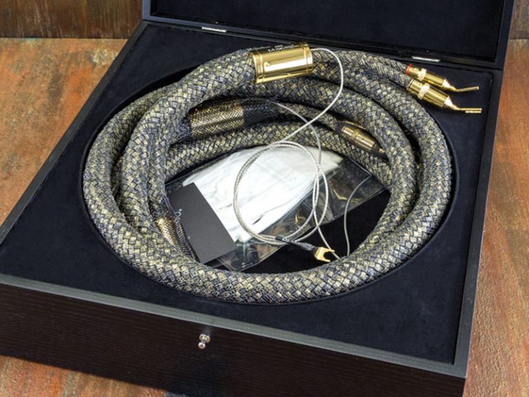 LA Sound Corium Speaker EVO1 cables