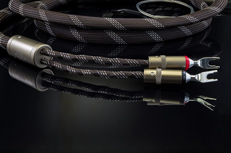 Speaker EVO1 cables