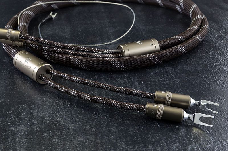 Speaker EVO1 cables