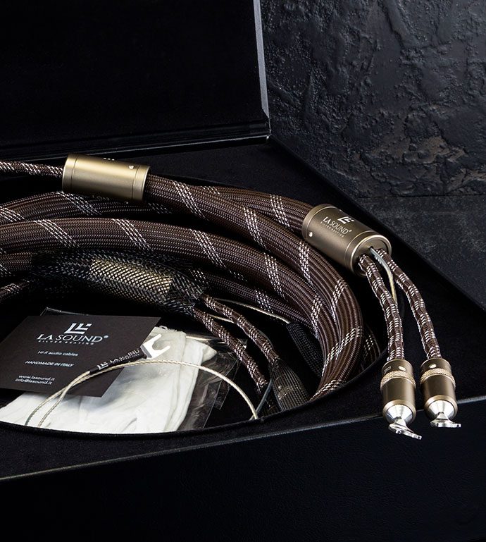 Speaker EVO1 cables