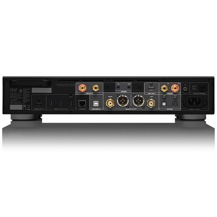 Hifi Rose RS451