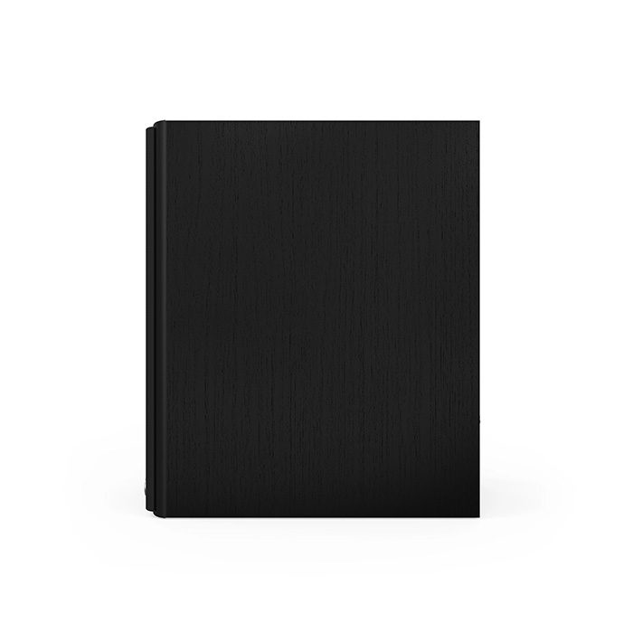Klipsch THE NINES II Ebony
