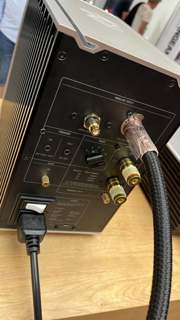 Rose RA80 - Mono Power Amplifier