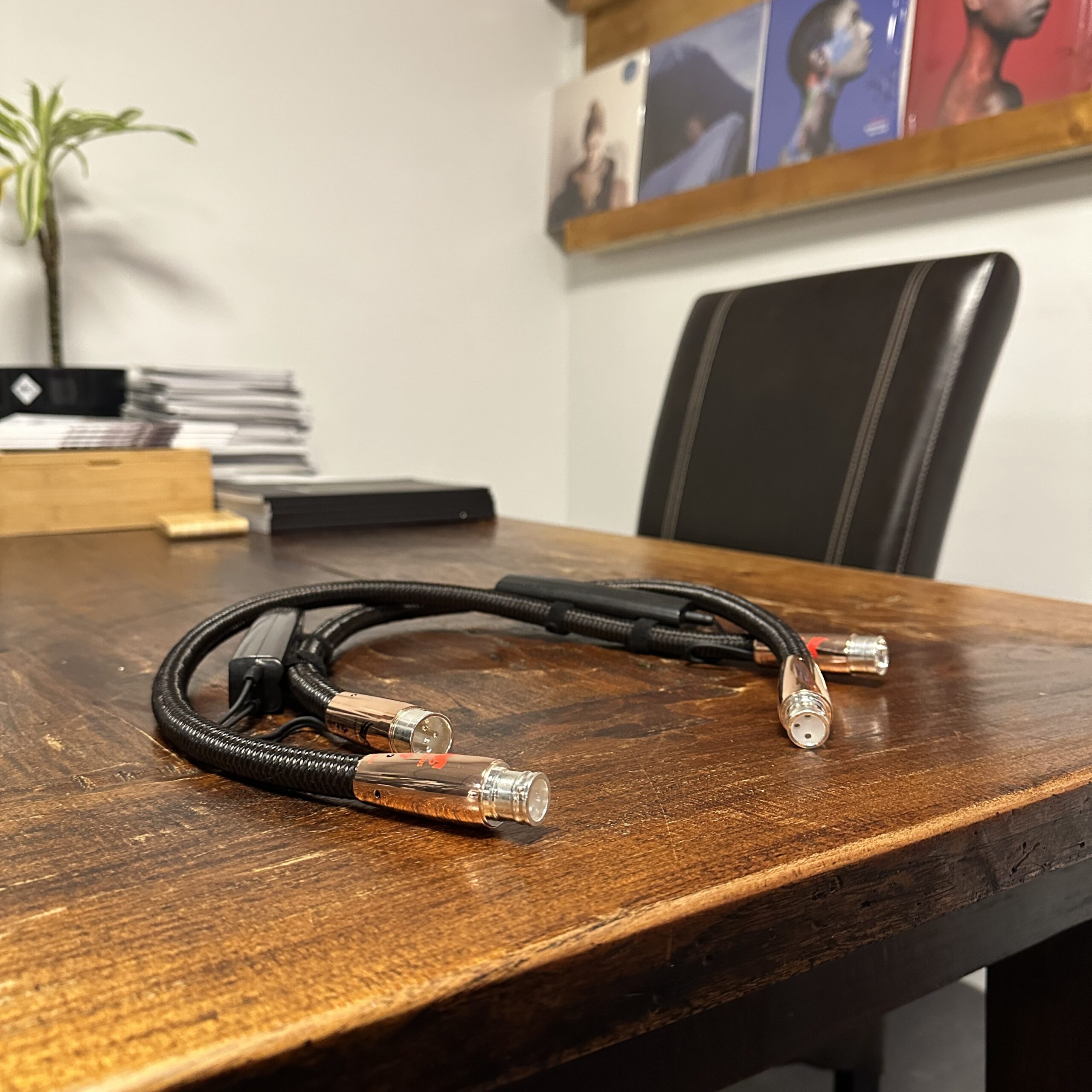 Audioquest Pegasus XLR van 0,6 meter (NIEUW)